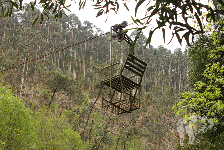 Telesilla pescadores