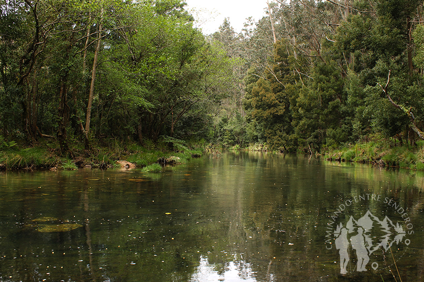 Río Sor