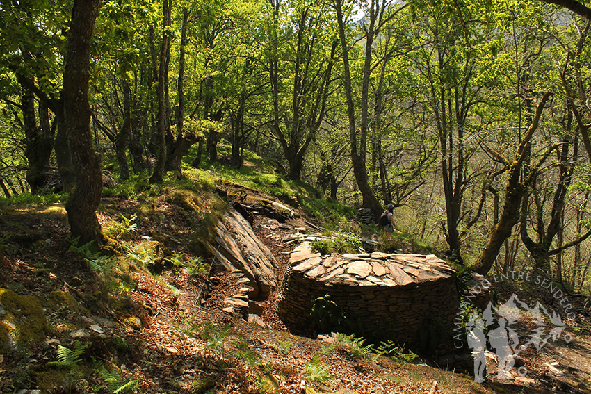 castro de Castañoso