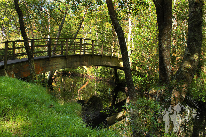 Puente río Escádebas