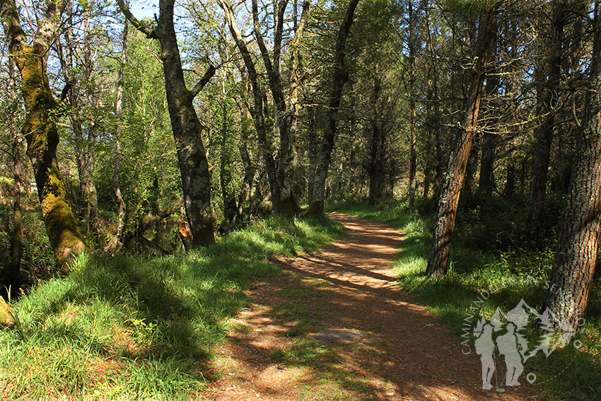 Camino río Escádebas