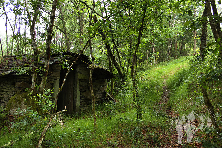 Molino de agua