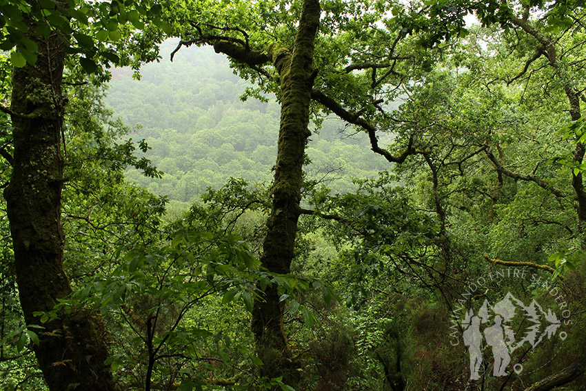 Valle del Eume