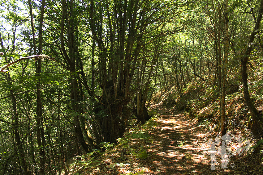 Fraga de Poboeiros (Castro Caldelas)