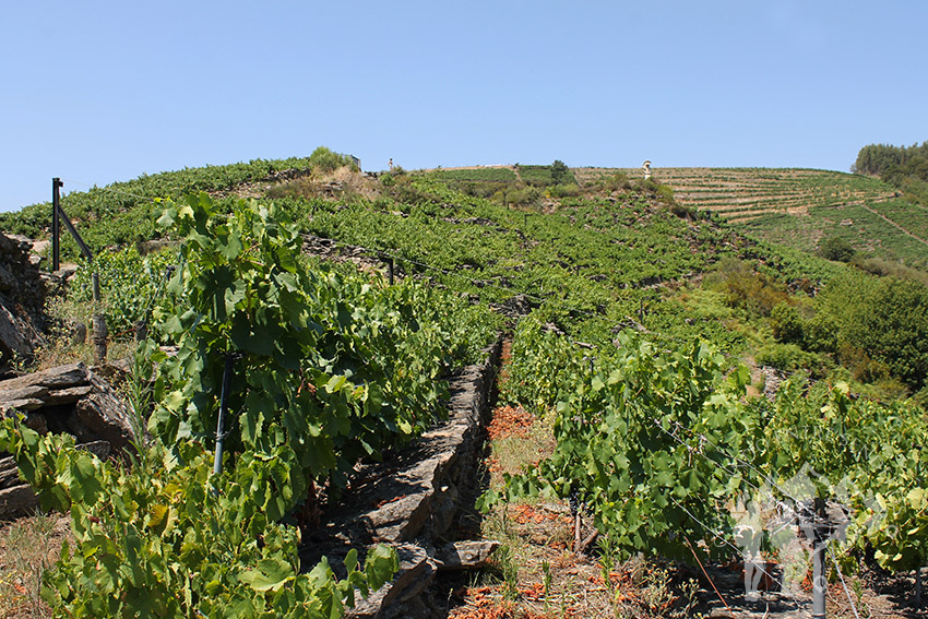 Mirador de Souto Chao (Sober)