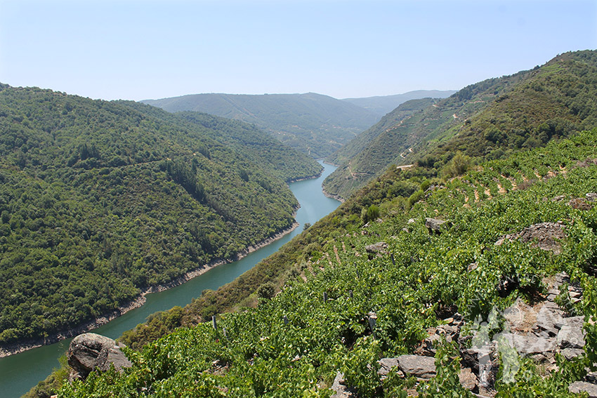 Mirador de Souto Chao (Sober)