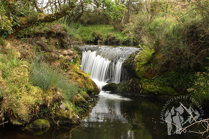 Salto agua Carballeira de Viveiró