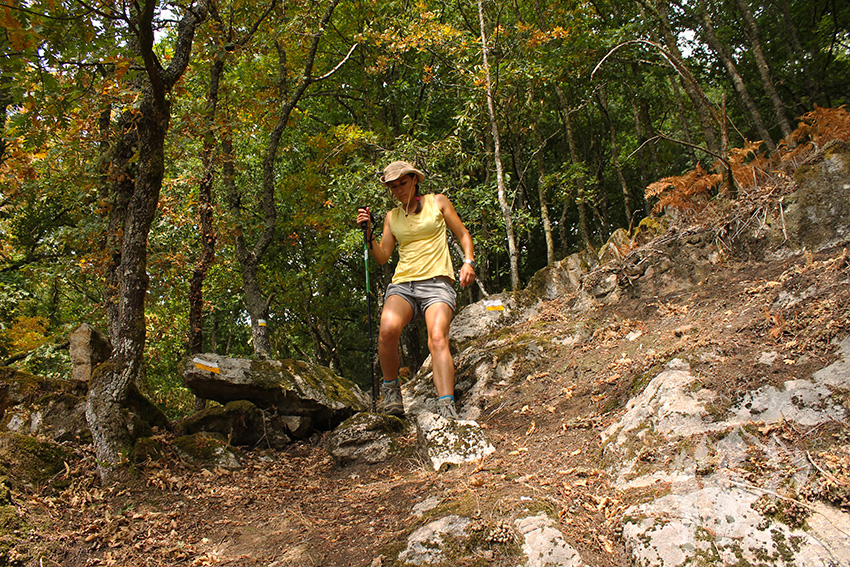 Bosque cercano a Reguenga