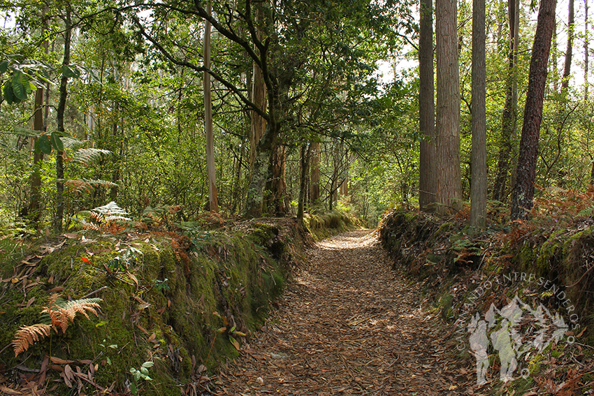 Camino Fervenza do Zarzo