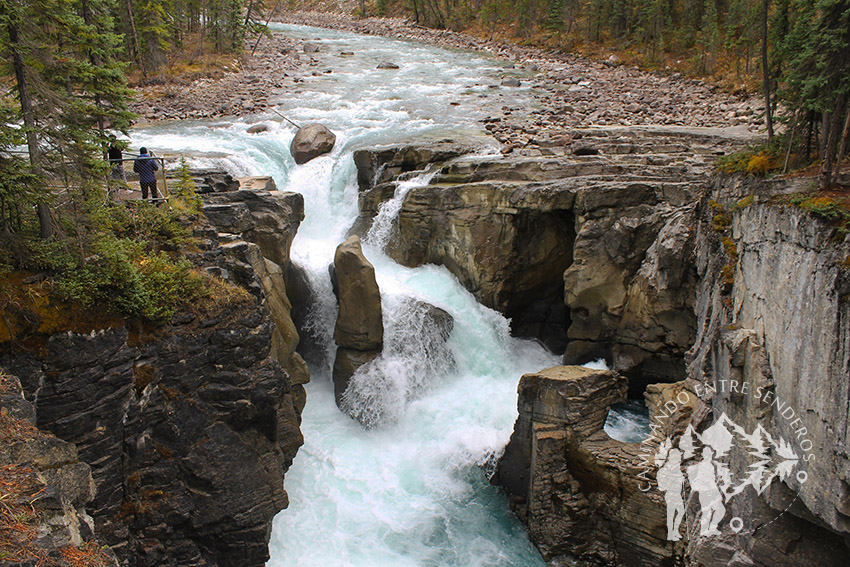 Sunwapta Falls (Jasper)