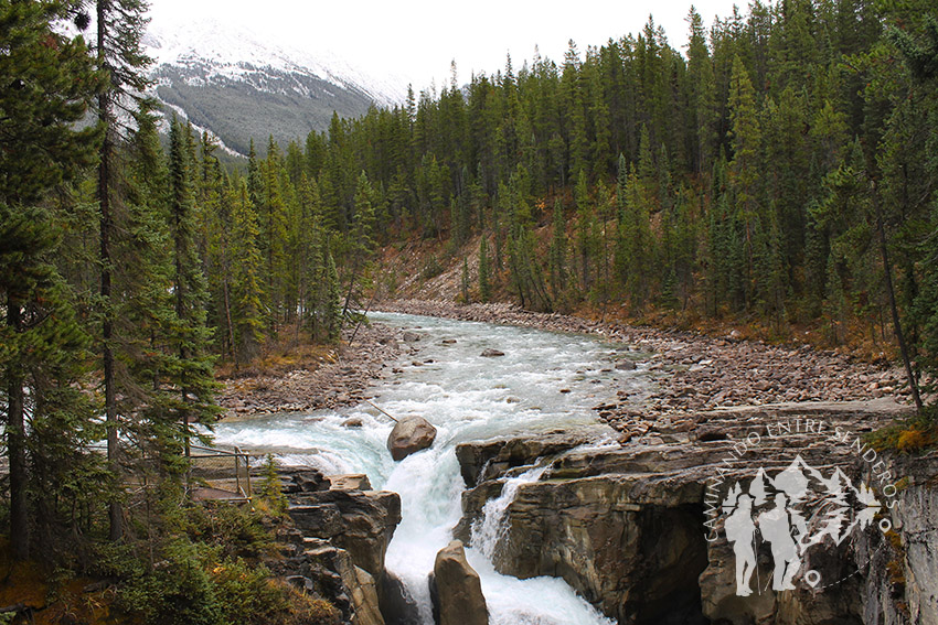 Sunwapta Falls (Jasper)