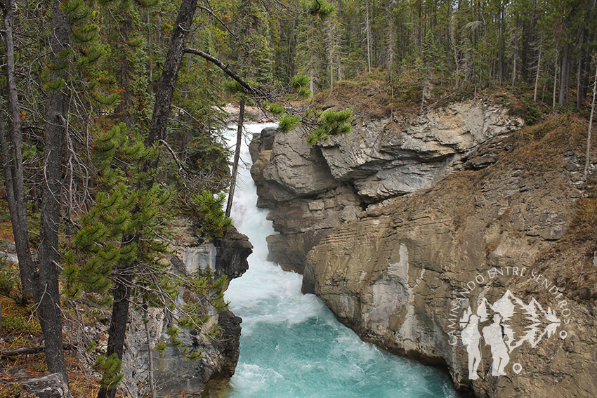 Sunwapta Falls (Jasper)