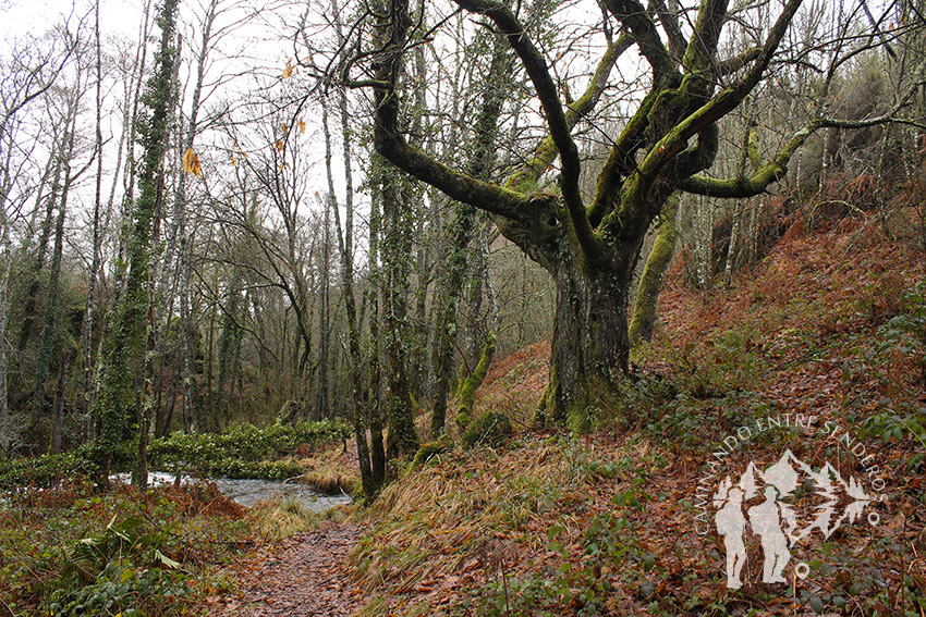 Monte Segade (Lugo)