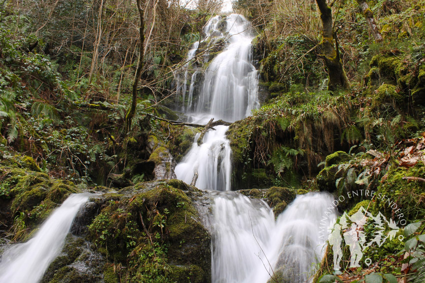 Ruta da Seimeira (A Pontenova)