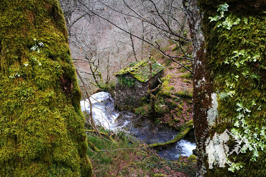 Ruta da Seimeira (A Pontenova)