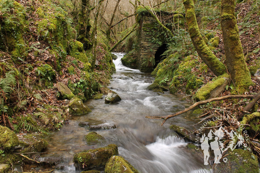 Ruta da Seimeira (A Pontenova)