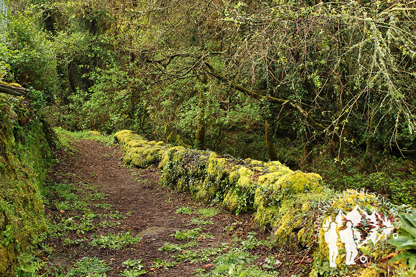 Camino hacia el río Fervenzas