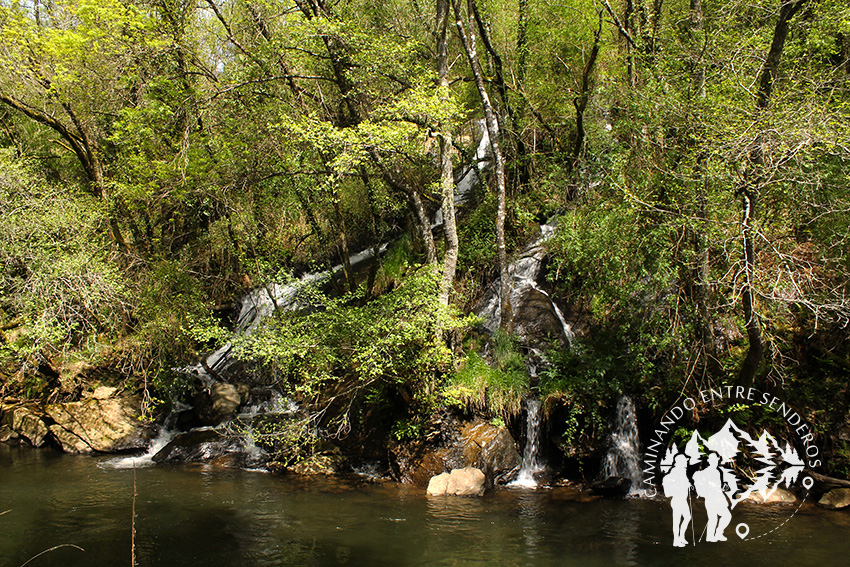 Fervenza da Grifa (Lalín)