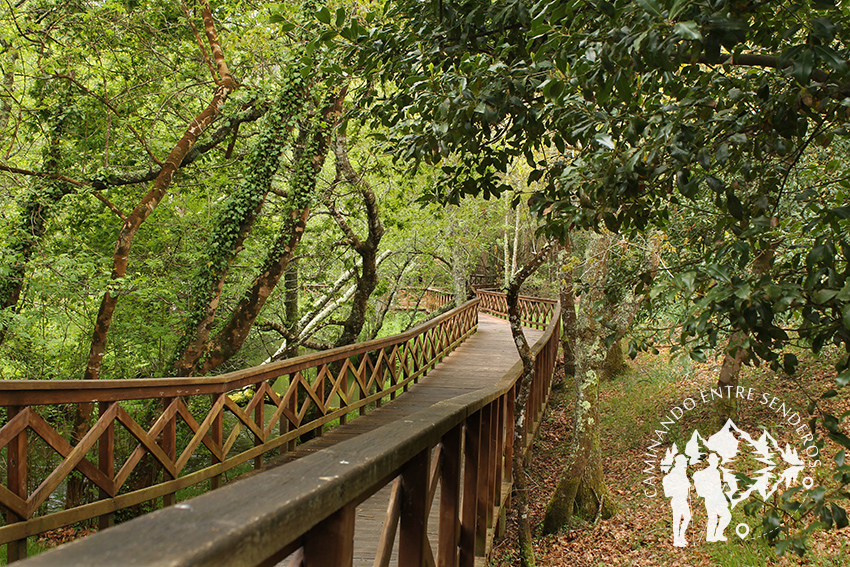 Paseo fluvial Río Anllóns (Laracha)