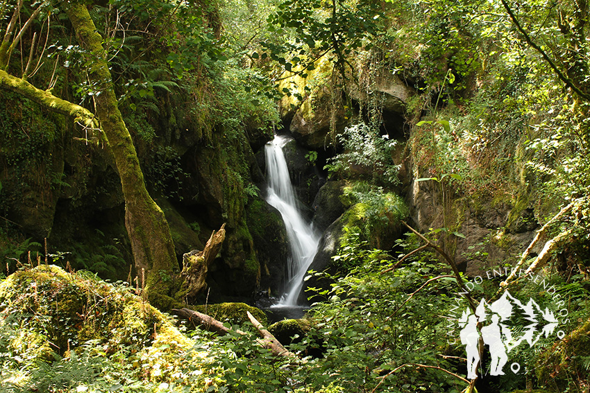 Fervenza Pozo Negro