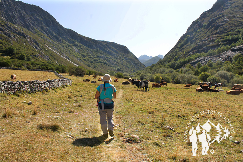 Valle de Entrevados