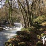 Paseo Fluvial Río Asma (Chantada)