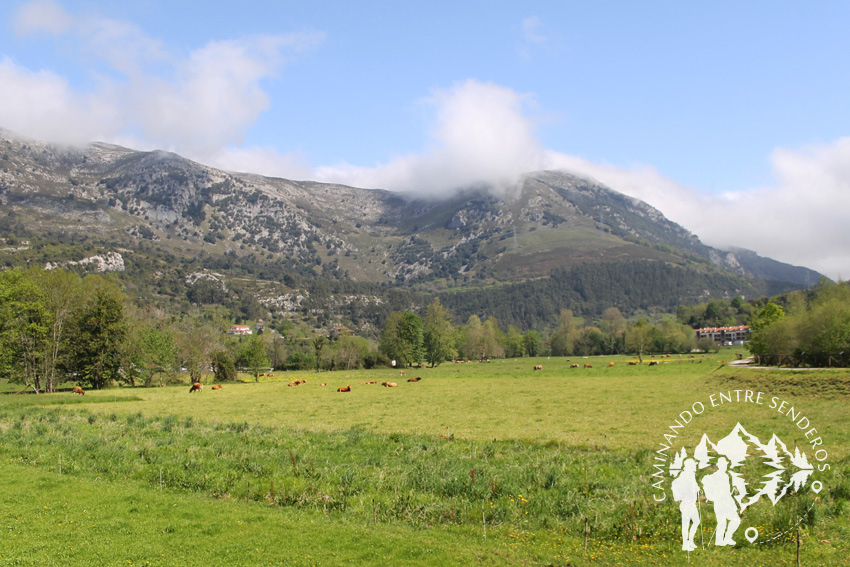 Jardín Botánico de Panes (Asturias)