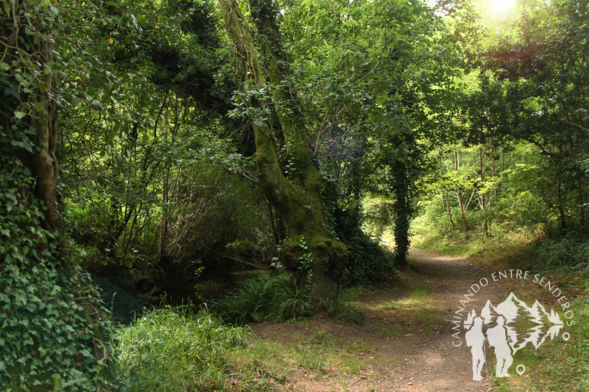 Ruta do Rego dos Pasos (Ames)