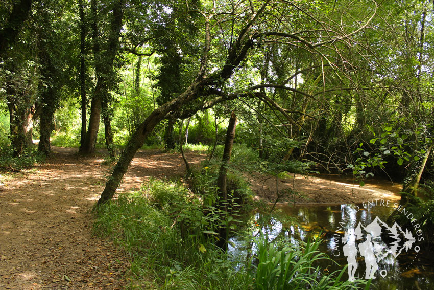 Ruta do Rego dos Pasos (Ames)