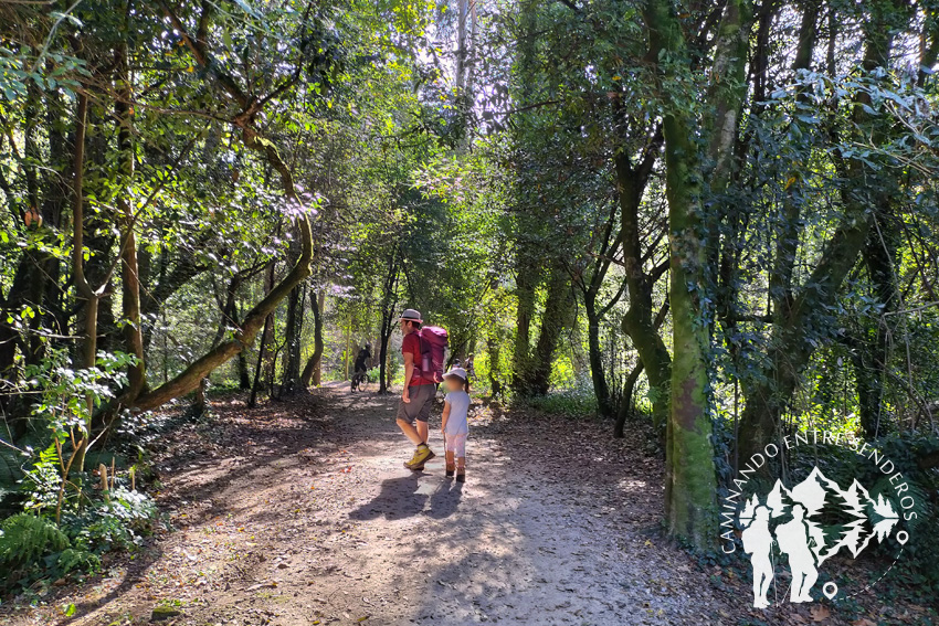 Senda do río Sar (Santiago de Compostela)