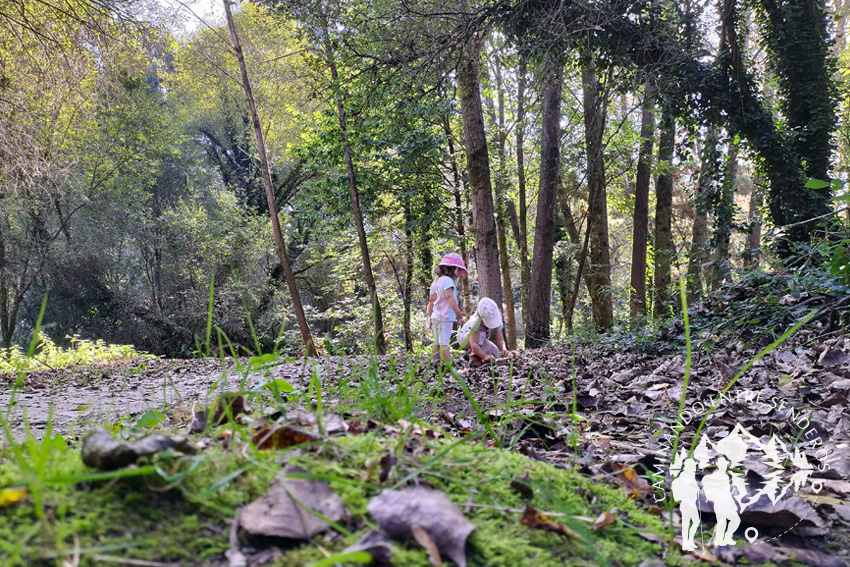 Senda do río Sar (Santiago de Compostela)